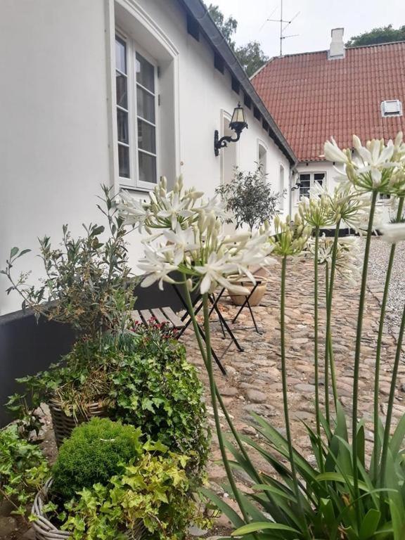 Apartment In Danmark- Agernaesgaard Otterup Buitenkant foto