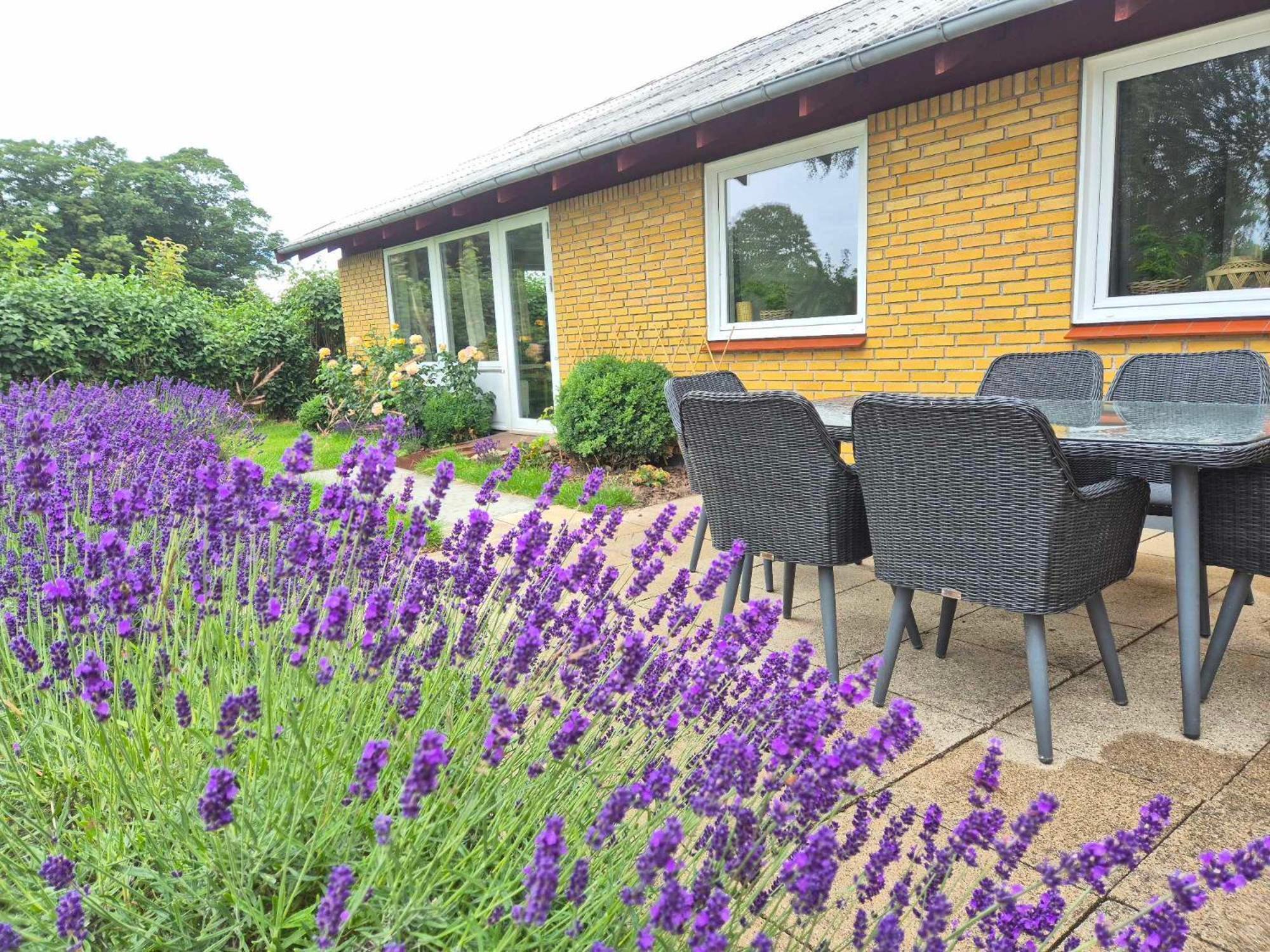 Apartment In Danmark- Agernaesgaard Otterup Buitenkant foto