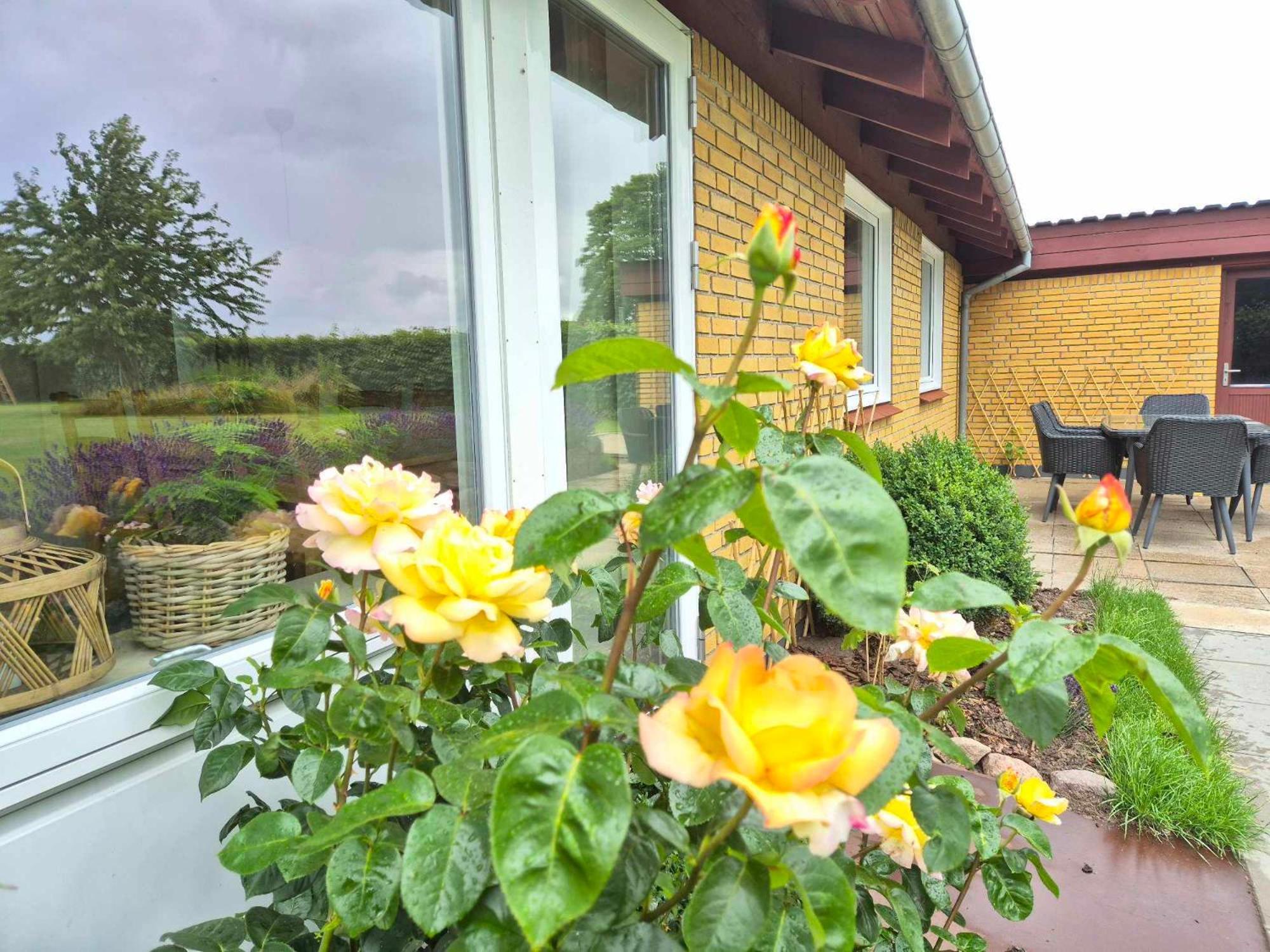 Apartment In Danmark- Agernaesgaard Otterup Buitenkant foto