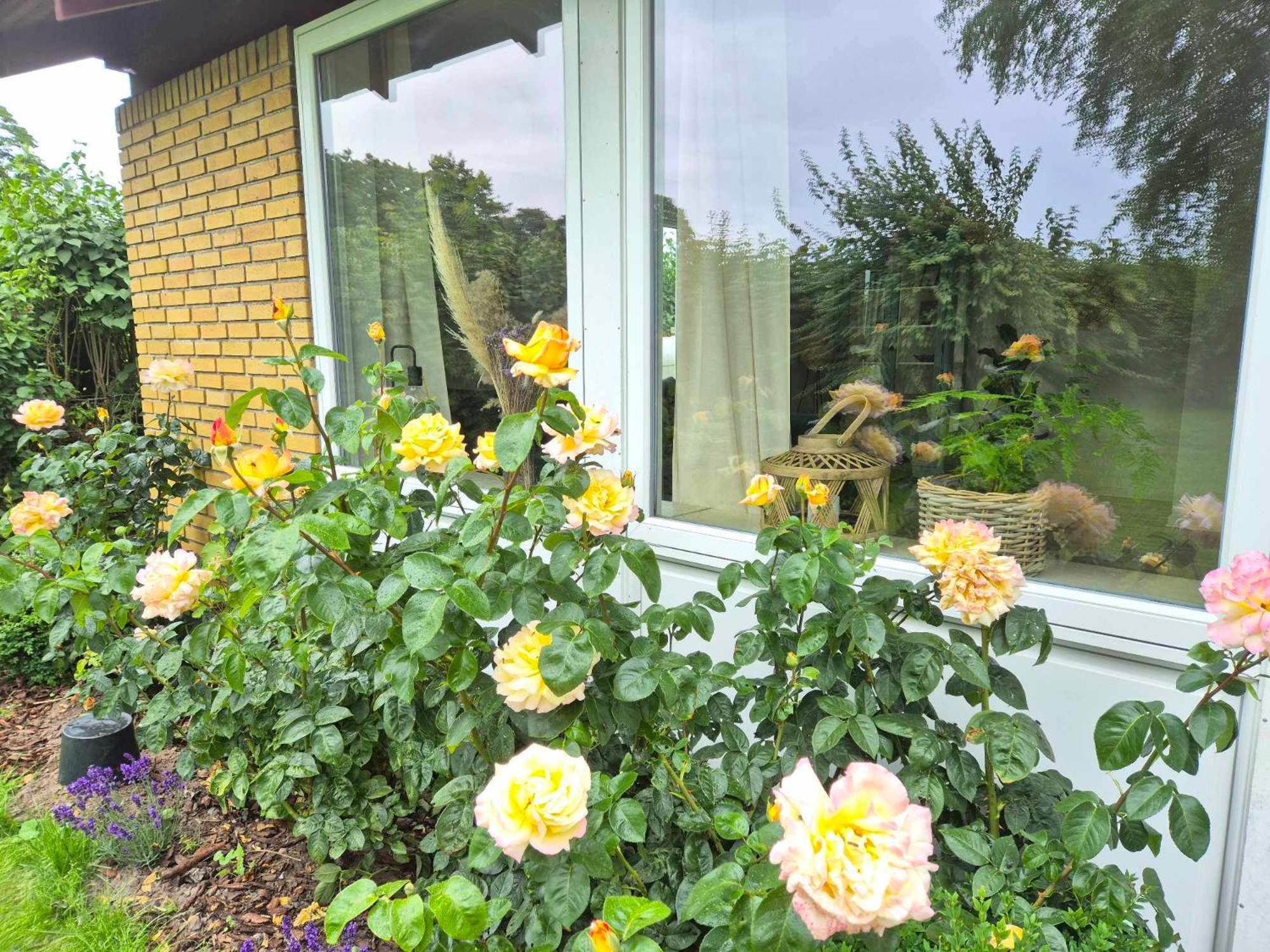 Apartment In Danmark- Agernaesgaard Otterup Buitenkant foto